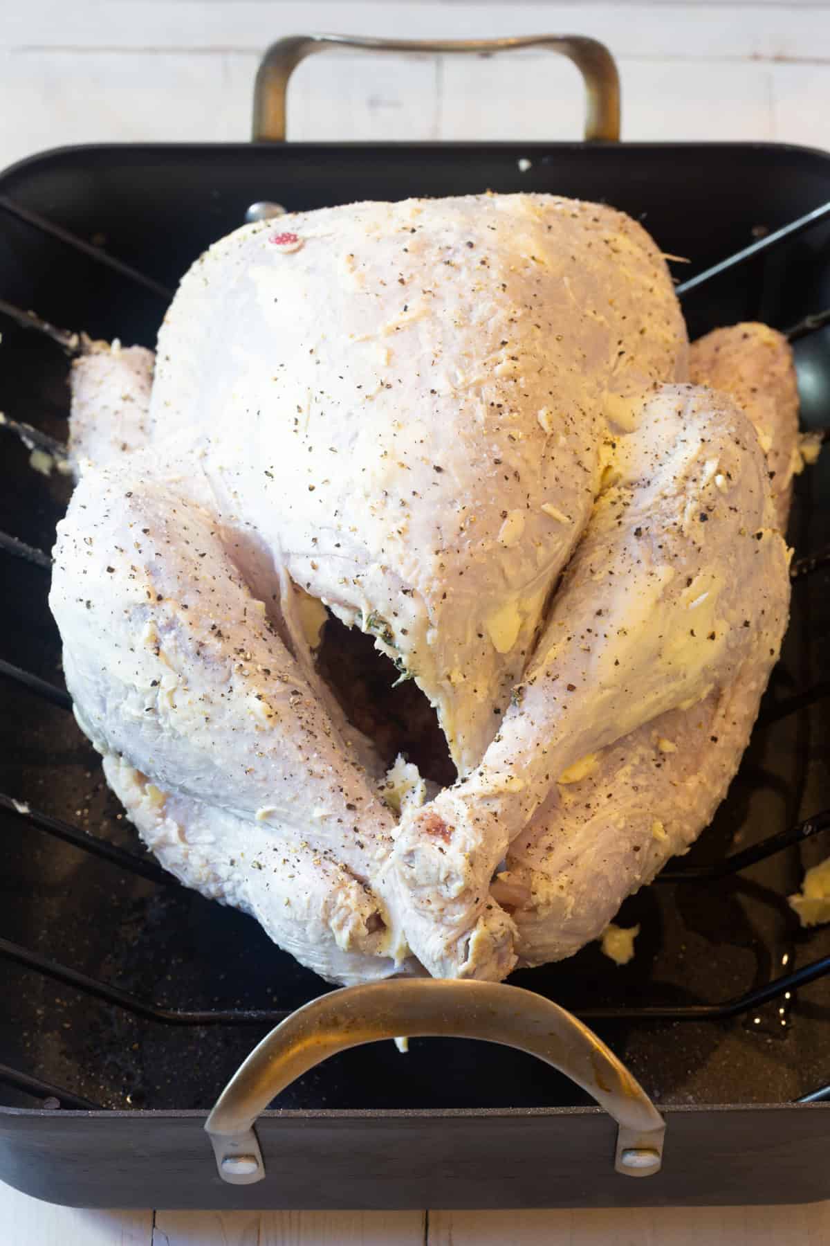 buttered turkey before roasting