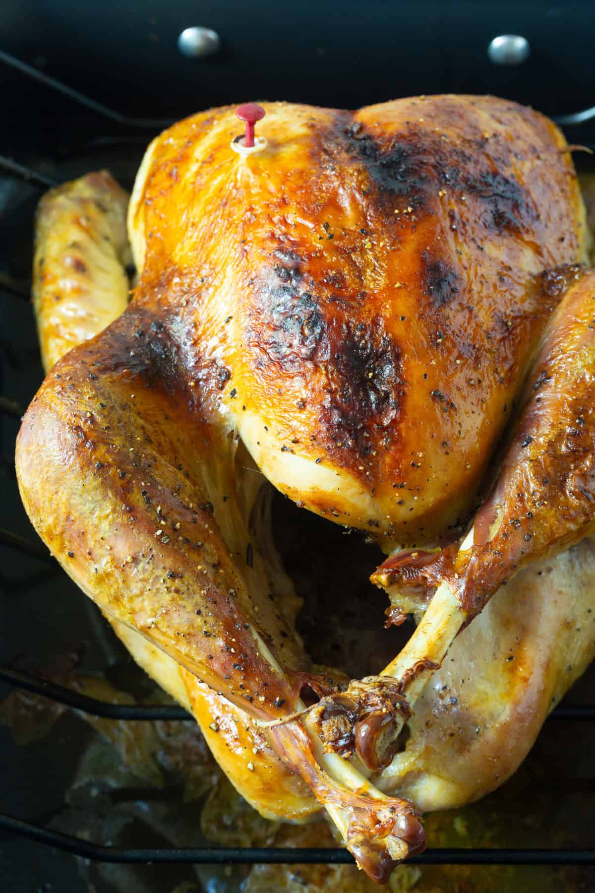 brined turkey in roasting pan
