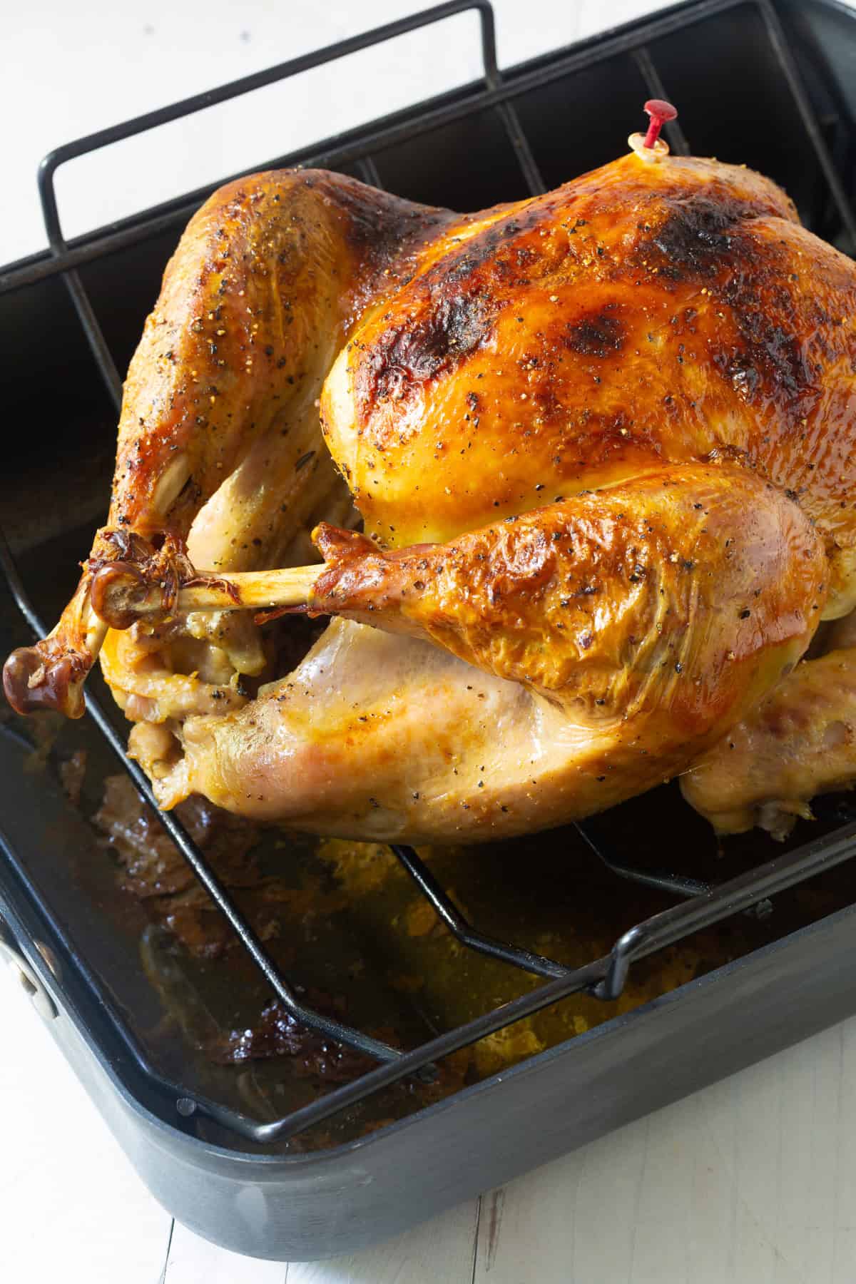 brined and roasted turkey in roasting pan
