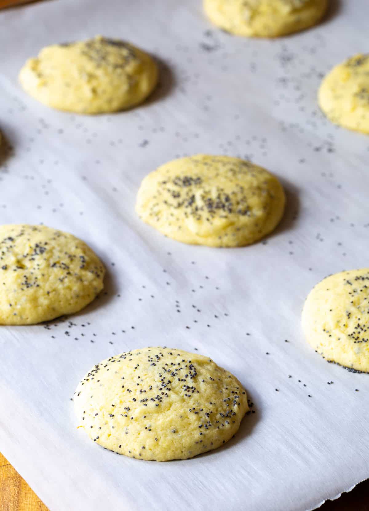 Lemon Poppy Seed Cookies - baked on a cookie tray