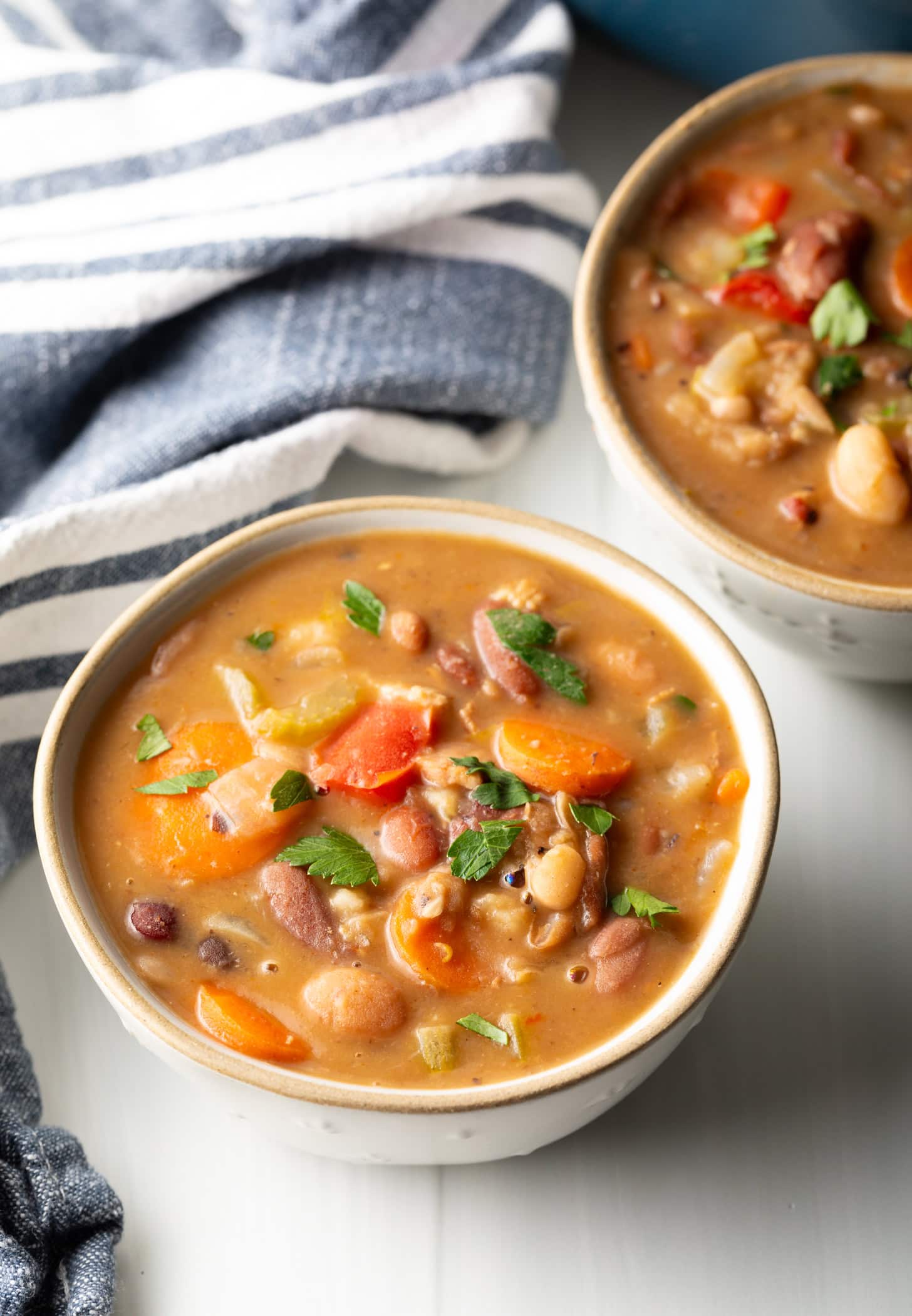 15 Bean Soup Recipe - A Spicy Perspective