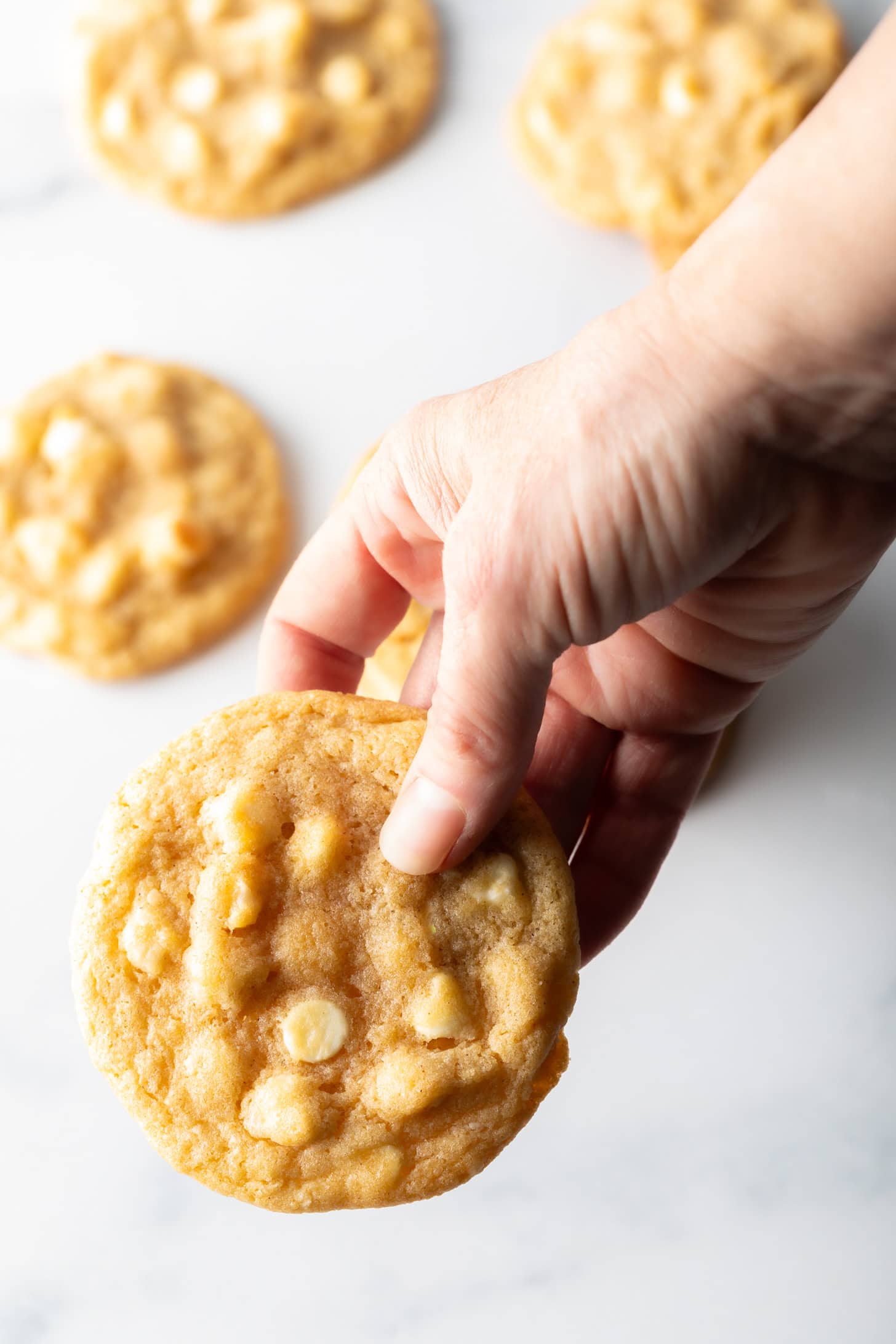 Hand holding a cookie with white chocolate chips and macadamia nuts.