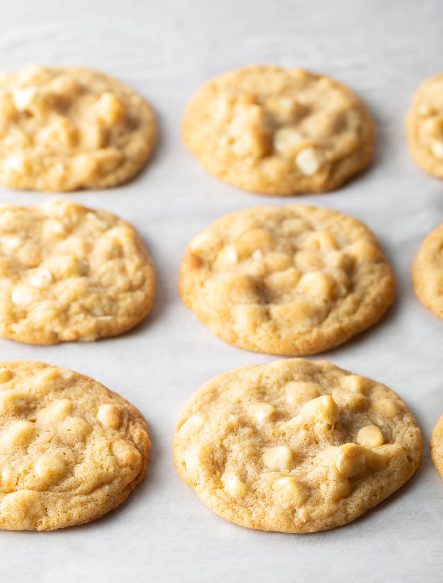 Three rows of three each white chocolate macadamia nut cookies on parchment.