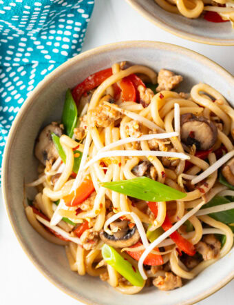 Top down view of a bowl of chicken yaki udon topped with green scallion slices and mung beans.