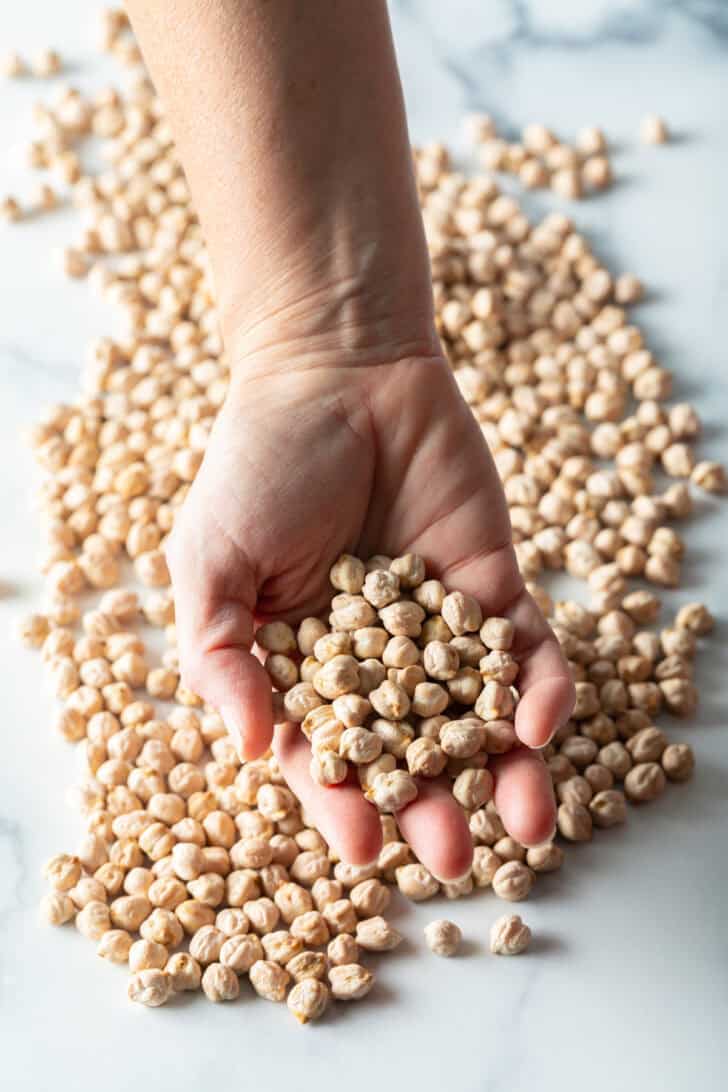 Hand holding dried chickpeas.