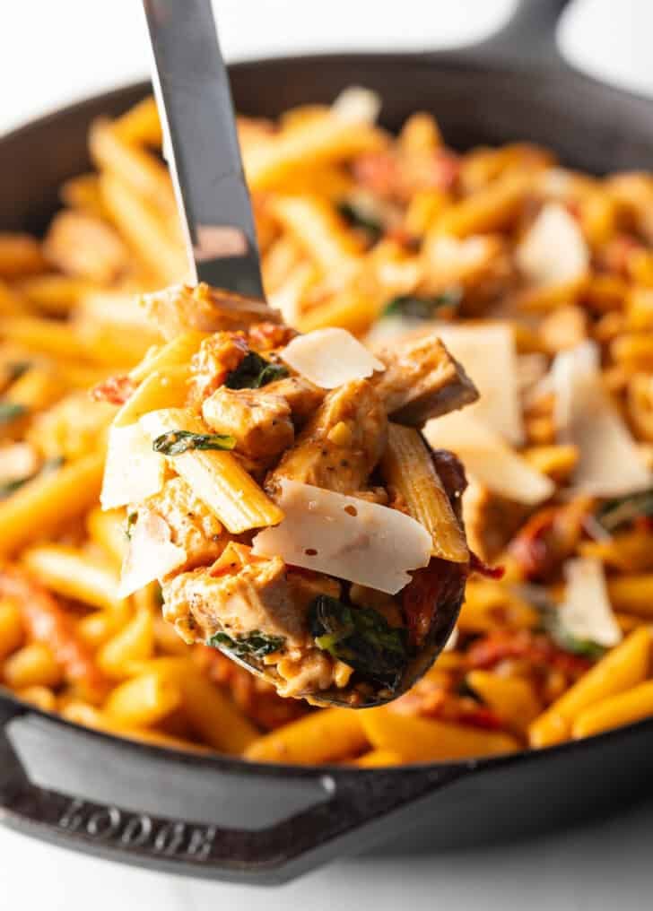 Large spoonful of chicken and pasta held to camera.
