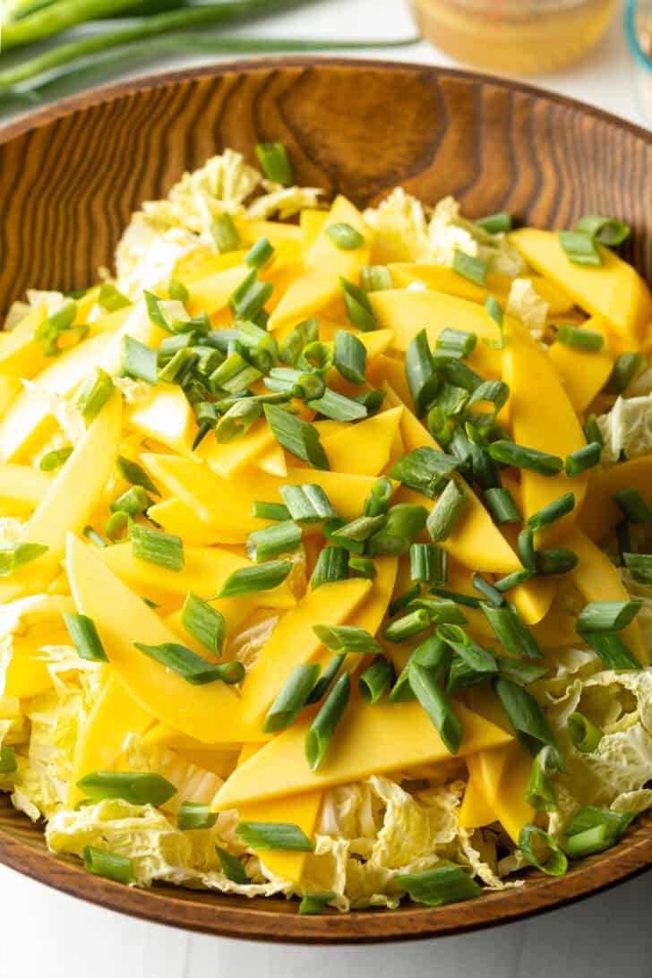 Bowl with shredded cabbage, green onion slices, and slices of mango.