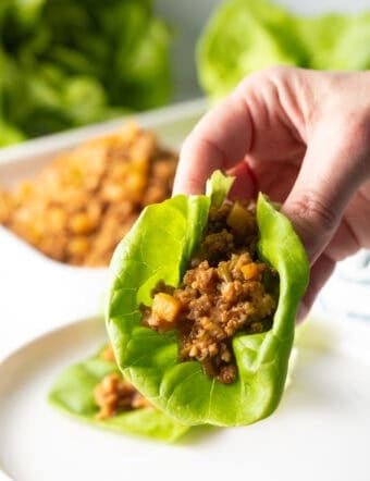 Hand holding a PF Chang copycat lettuce wrap with ground chicken.