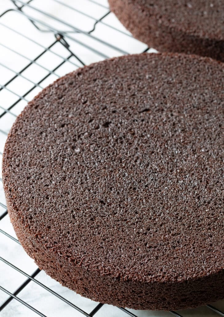 Round chocolate cake base on a wire rack.