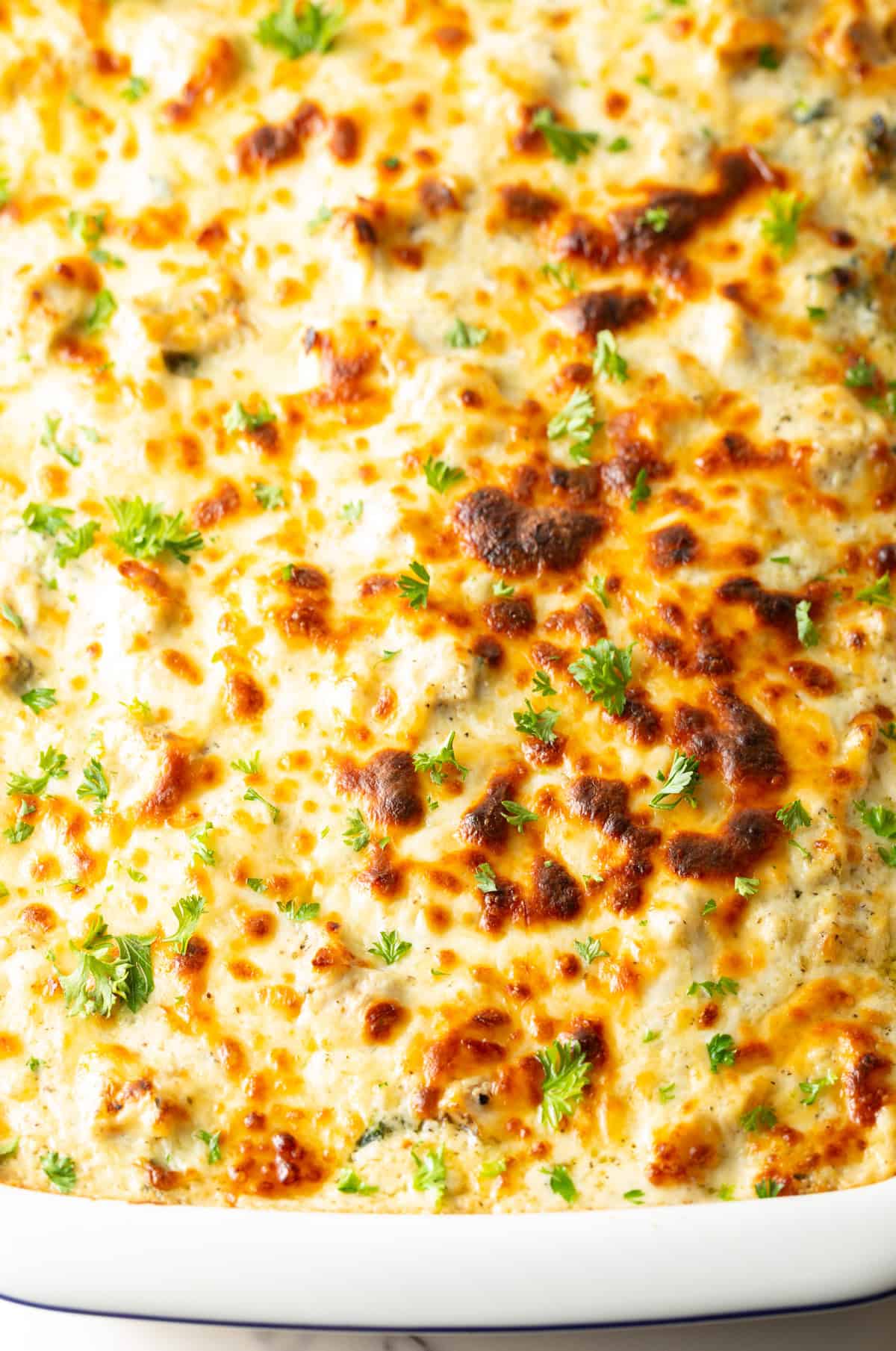 Top down white rectangle baking pan with cheesy chicken alfredo lasagna.