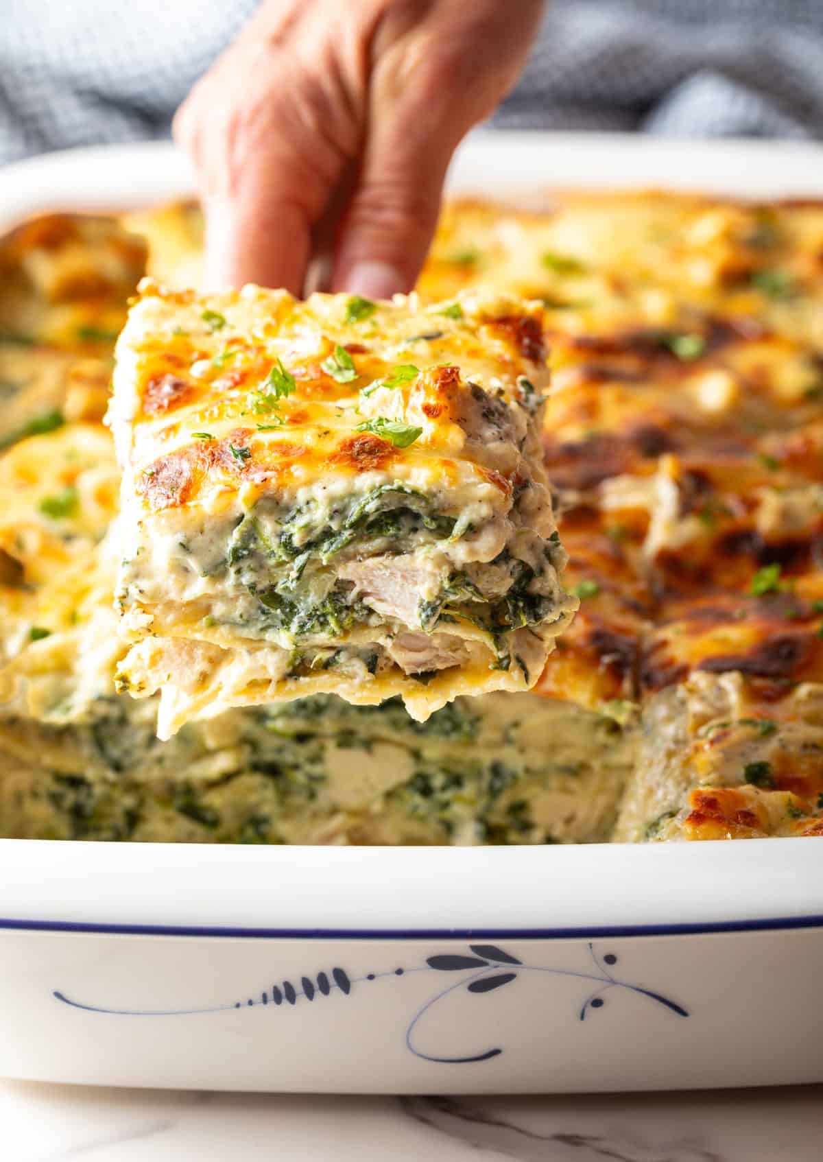 Hand using a serving spatula to lift a square of cheesy Alfredo chicken and spinach lasagna from a white baking pan.