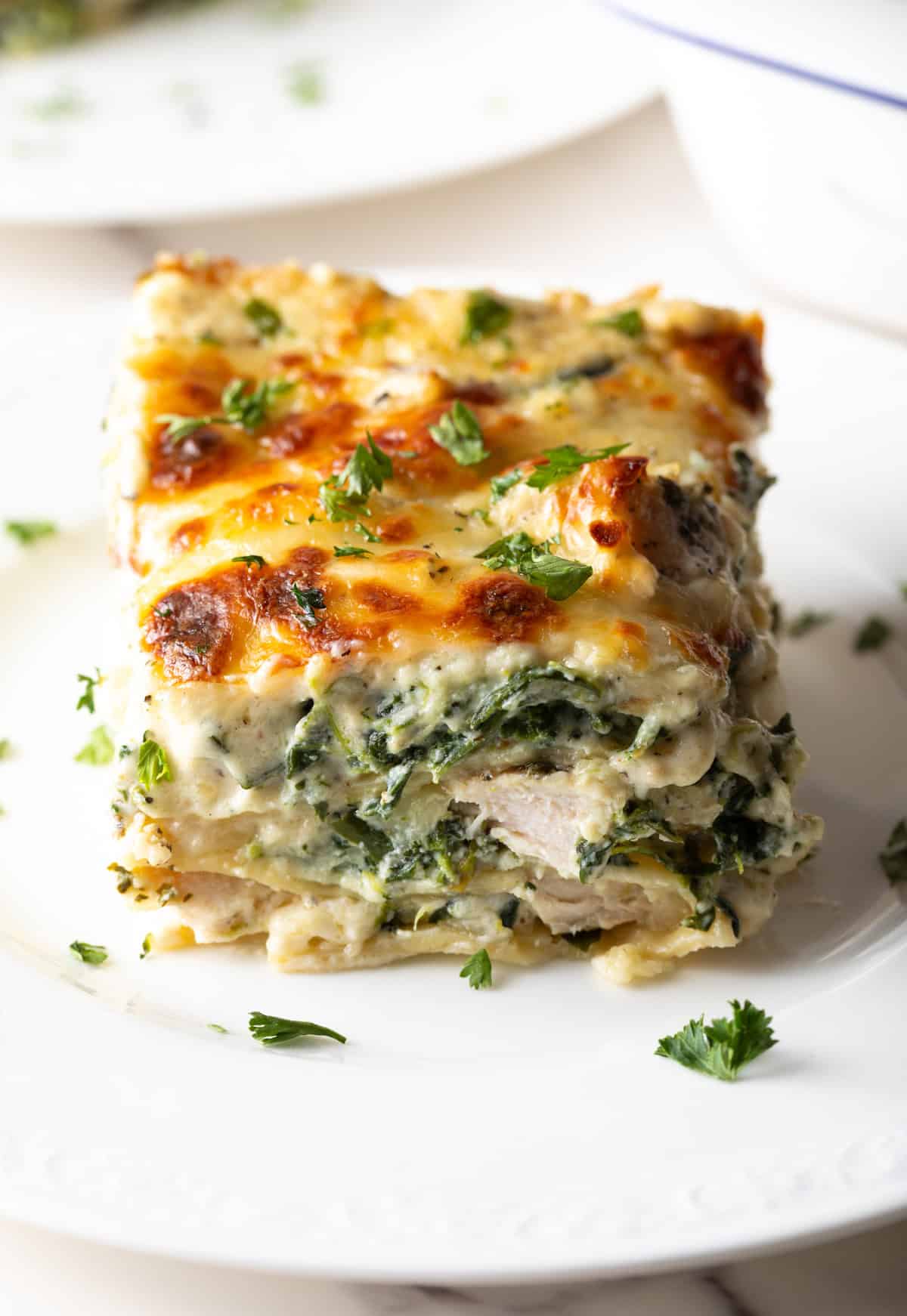 Square of chicken Alfredo lasagna on a white plate.