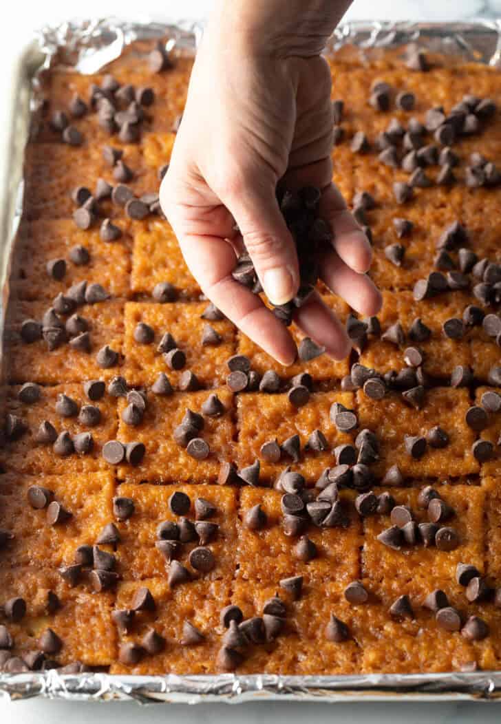 Toffee soaked saltine crackers spread across a large backing sheet, hand adding chocolate chips.