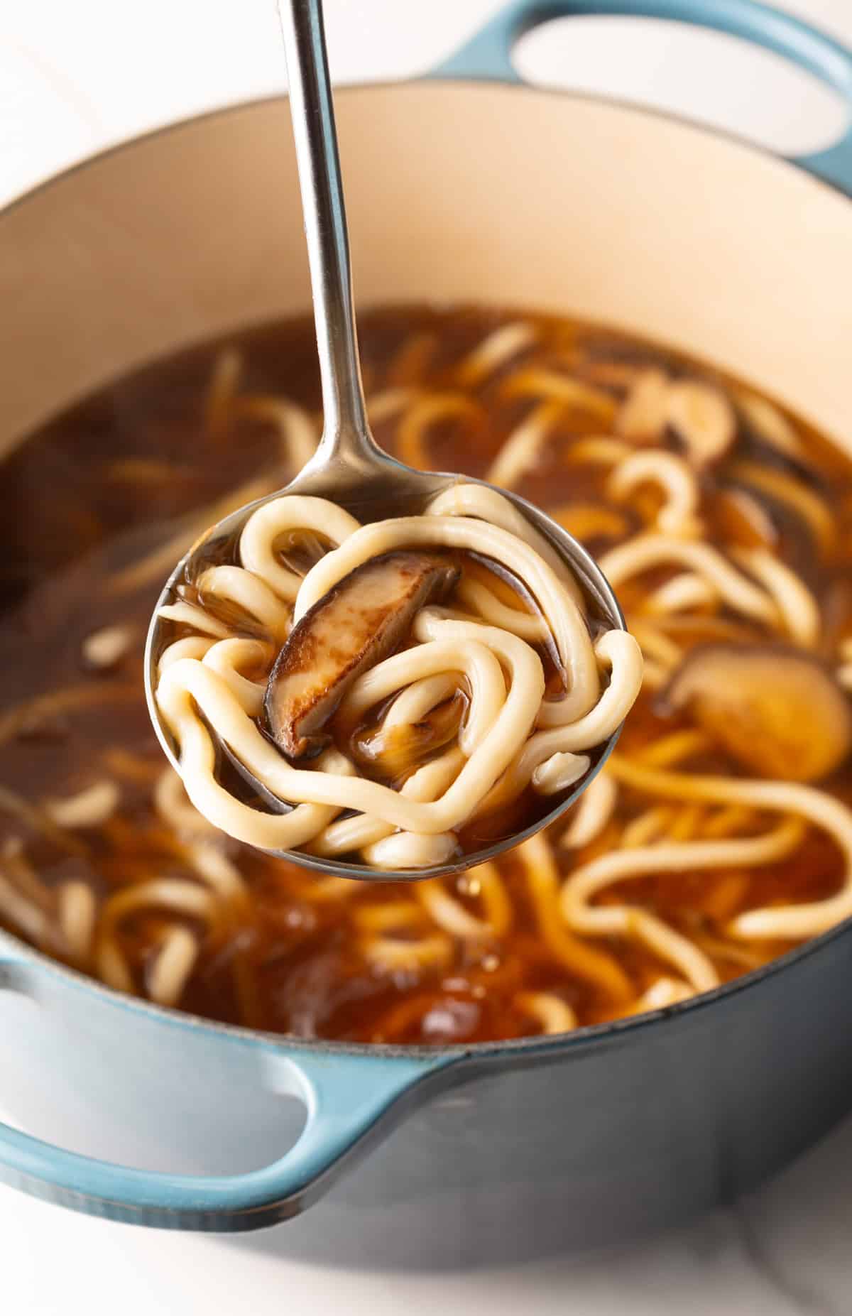 Pot of udon noodle soup with a ladle holding a scoop of the soup.