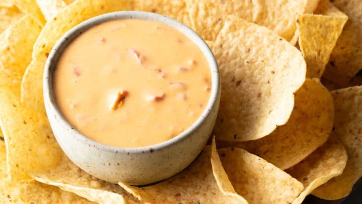 Easy 4-Ingredient Velveeta Cheese Dip in serving bowl with chips.