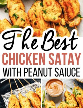 Thai Chicken Satay