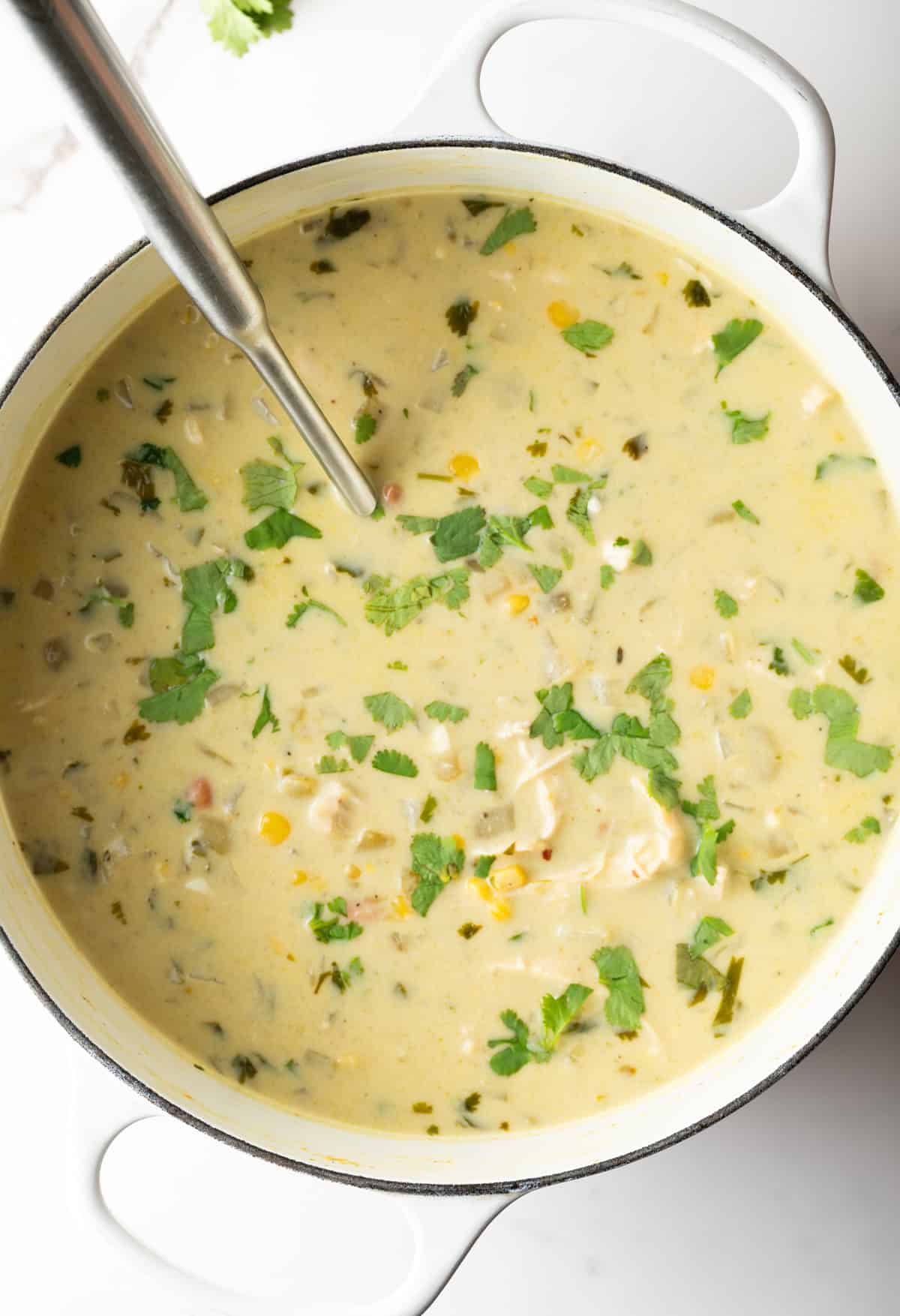 Top down view creamy chicken soup in a large white cooking pot.