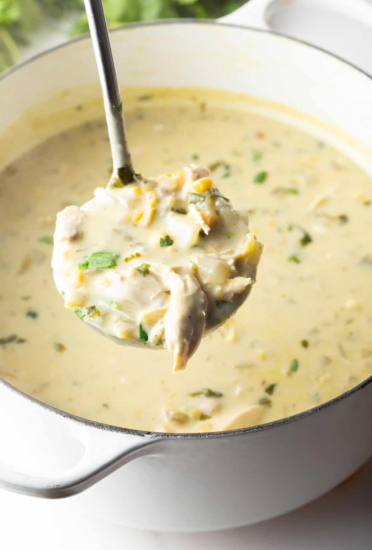 A ladleful of chicken soup held to camera.