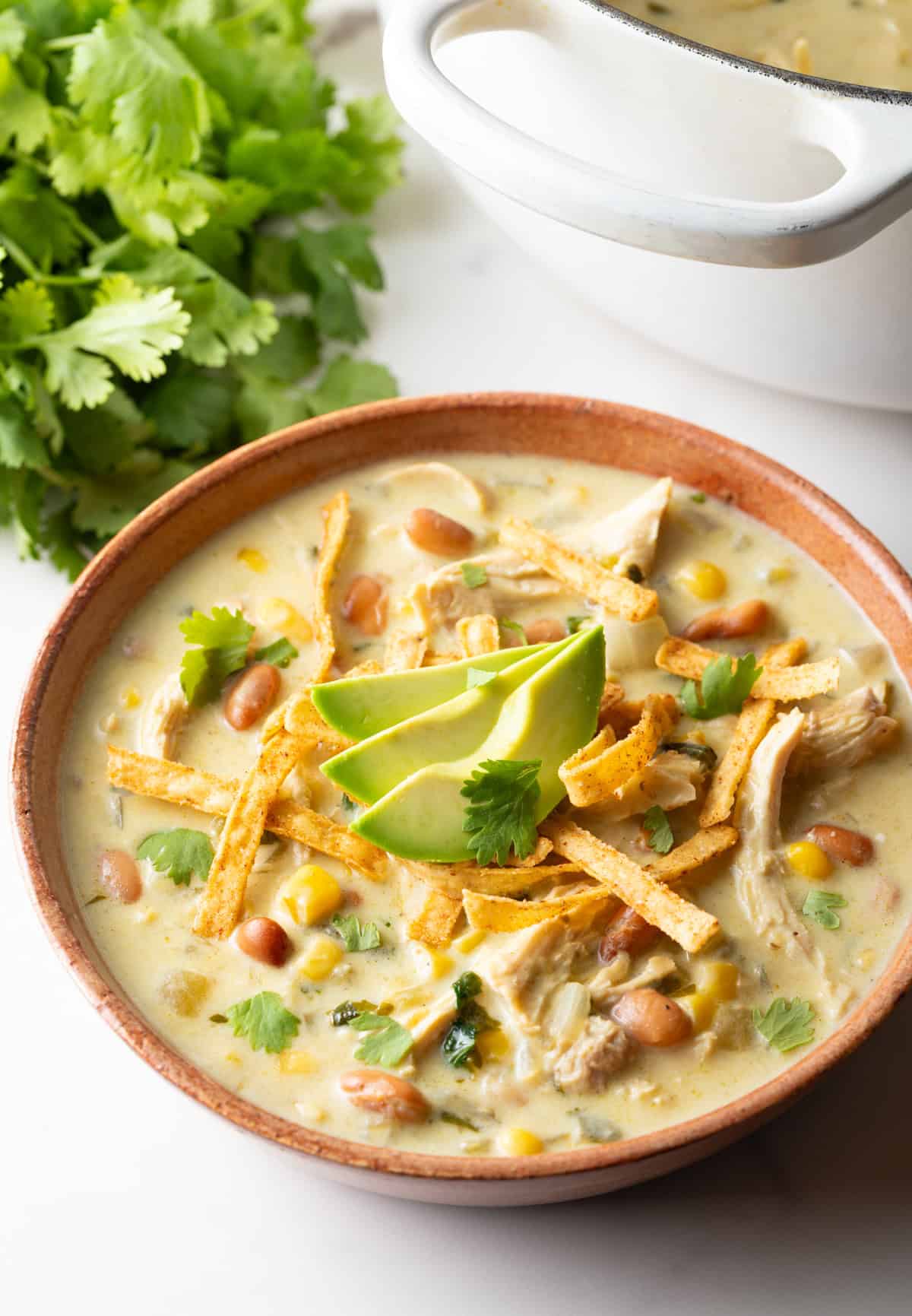 Bowl of green chicken enchilada soup, topped with tortilla strips and slices of avocado.