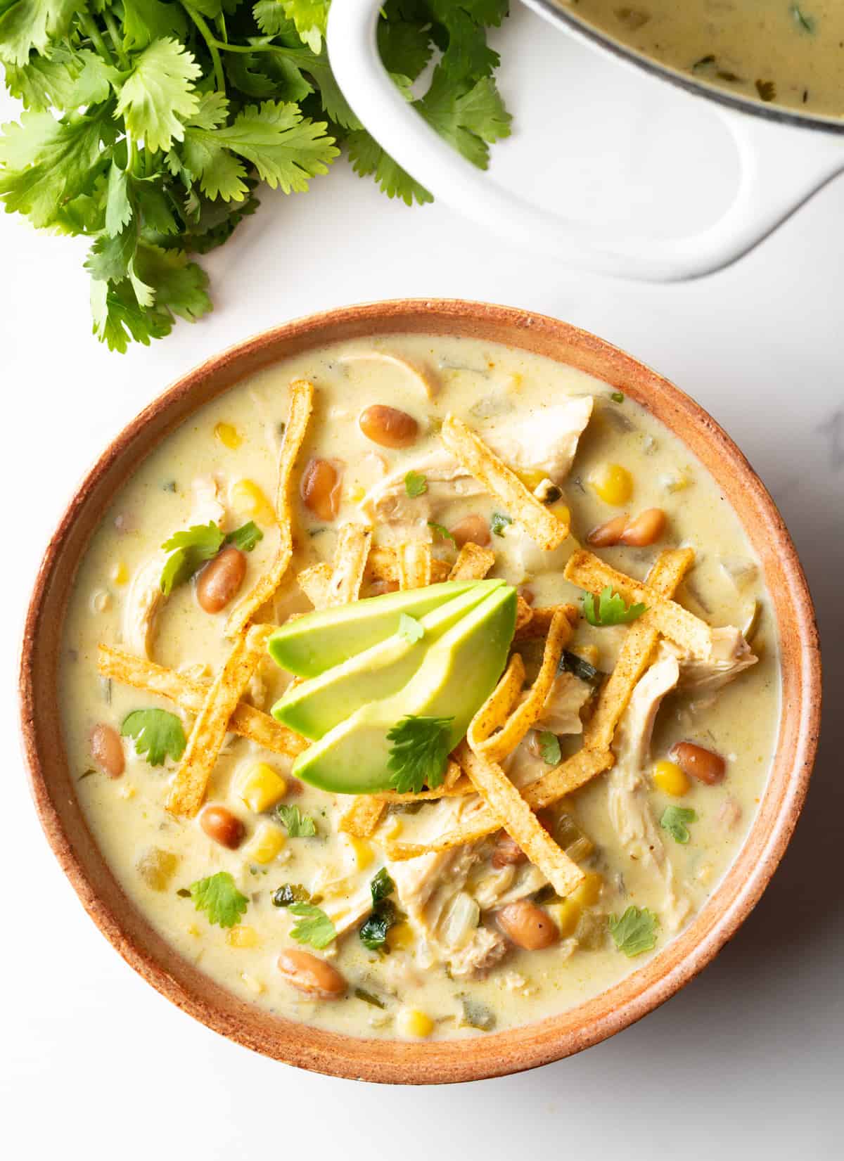 Top down view bowl of green chicken enchilada soup, topped with tortilla strips and slices of avocado.