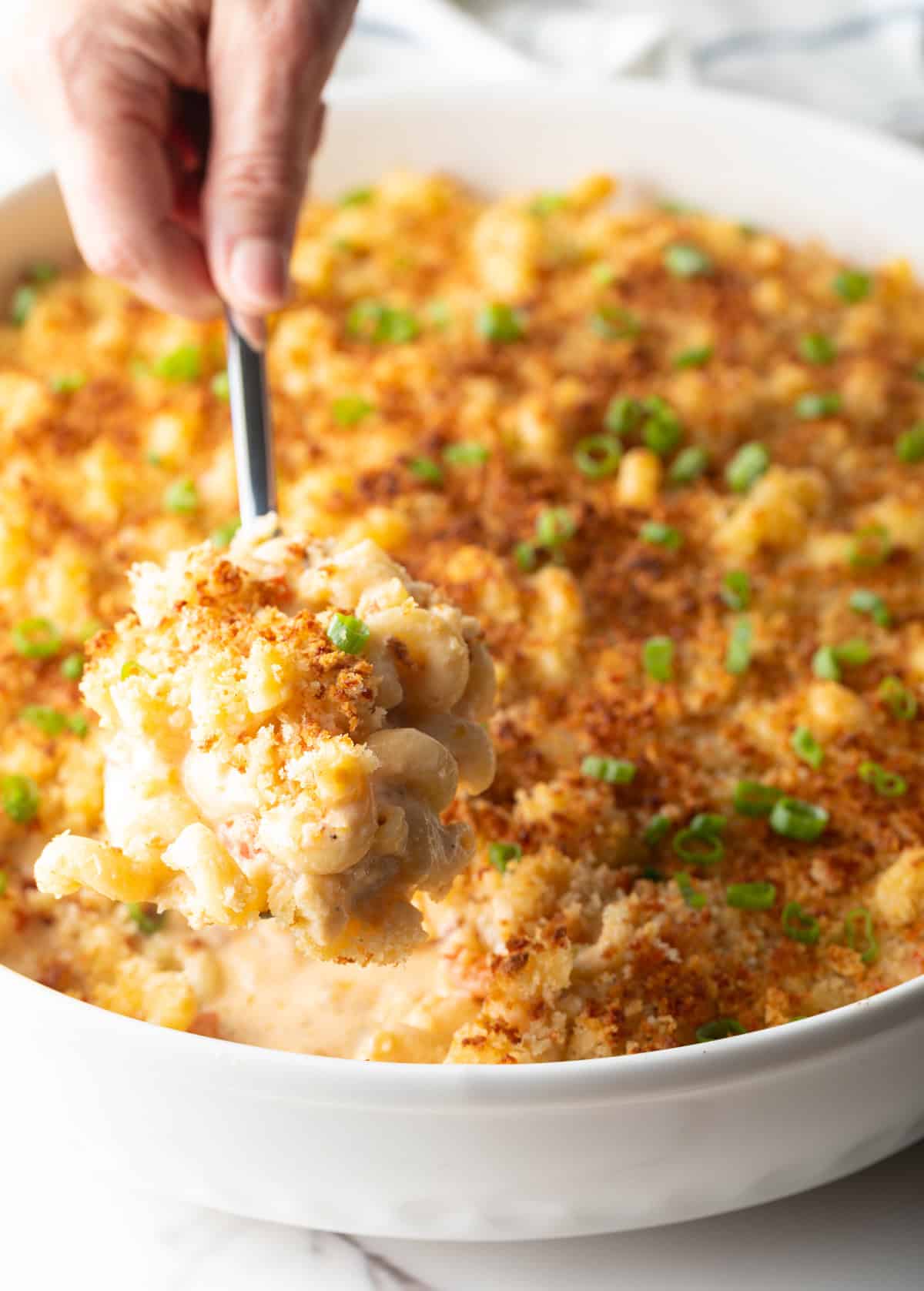 A close-up shot of a spoon holding a scoop of Cajun mac and cheese.