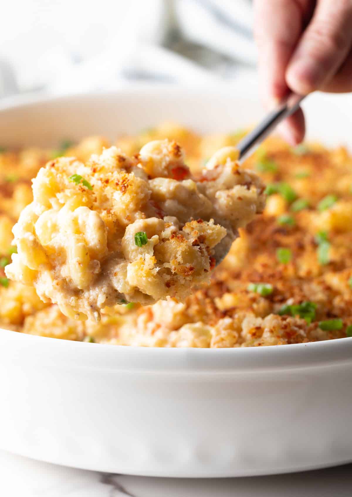 A close-up shot of a spoon holding a scoop of New Orleans mac and cheese.