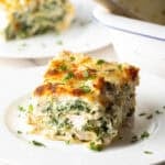 Square of chicken Alfredo lasagna on a white plate.