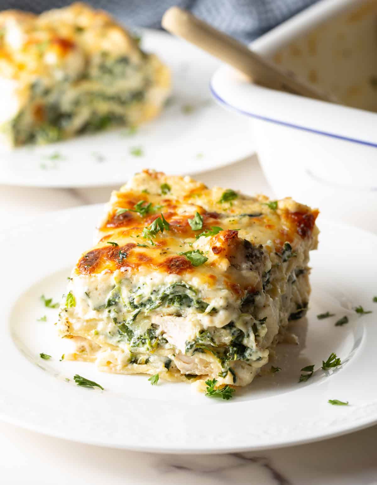 Square of chicken Alfredo lasagna on a white plate.