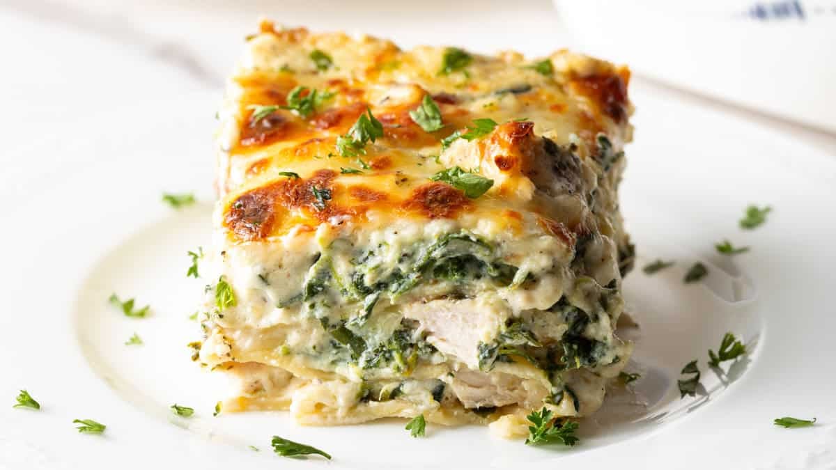 Easy Cheesy Chicken Alfredo Lasagna - A Spicy Perspective