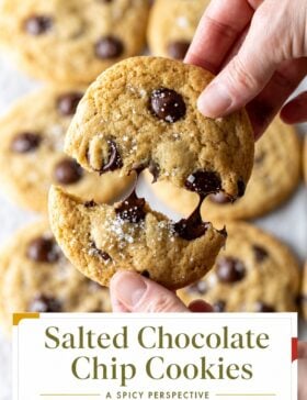 Single-image poster of salted chocolate chip cookies stacked on a surface, styled in warm gold, deep red, teal, and olive tones with flaky sea salt visible on top.