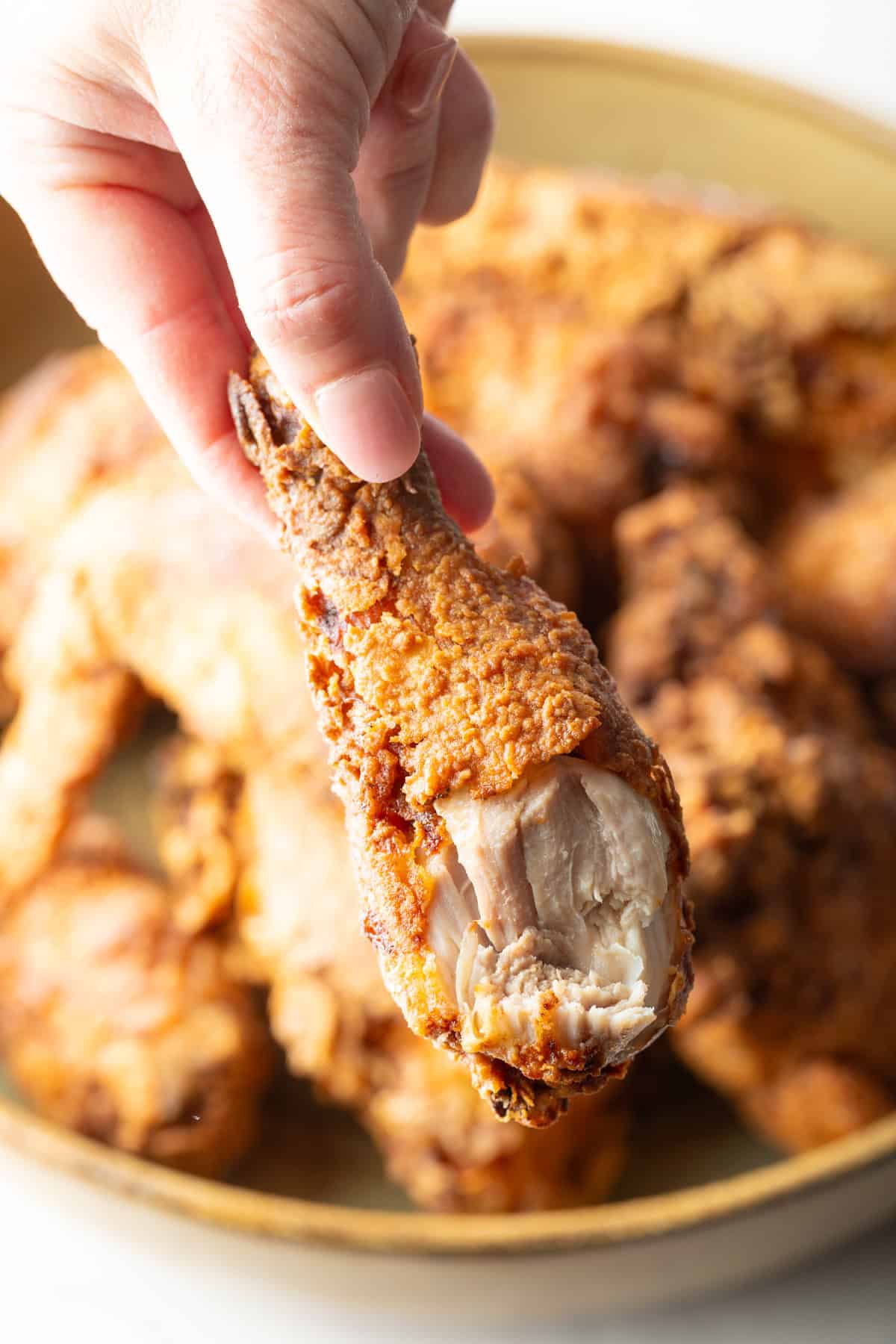 A hand holding a southern skillet fried chicken drumstick over a bowl of southern fried chicken pieces.