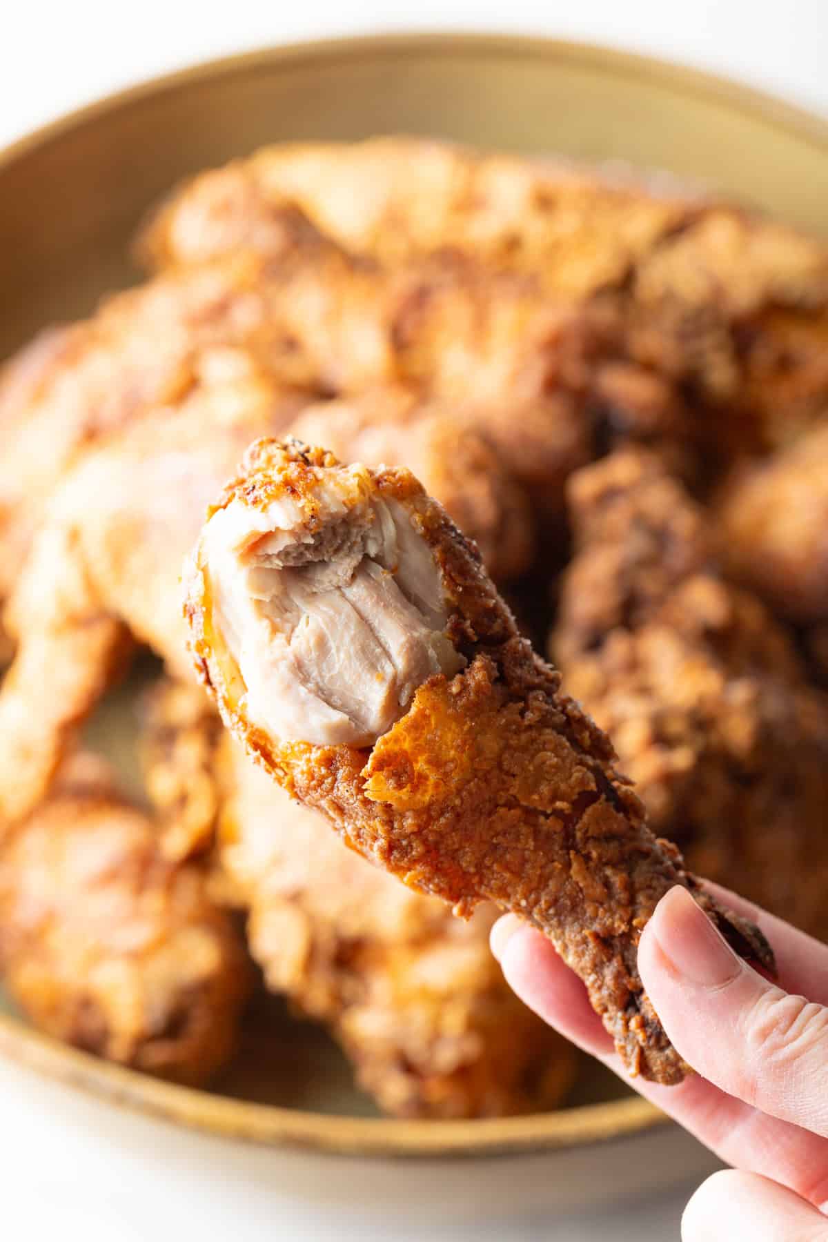 A hand holding a southern fried chicken drumstick over a bowl of southern fried chicken pieces.