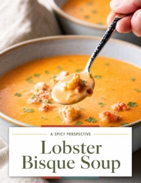 Single-image poster of creamy lobster bisque soup in a bowl, styled with warm gold (#D8B412), deep red (#B9412C), teal (#67B0AB), and olive (#89883C) tones across two design variations.