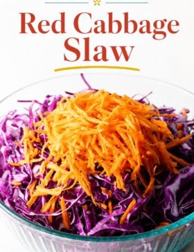 Single-image poster of red cabbage slaw in a white bowl, styled with warm golden, deep red, teal, and olive tones highlighting the vibrant, colorful ingredients.