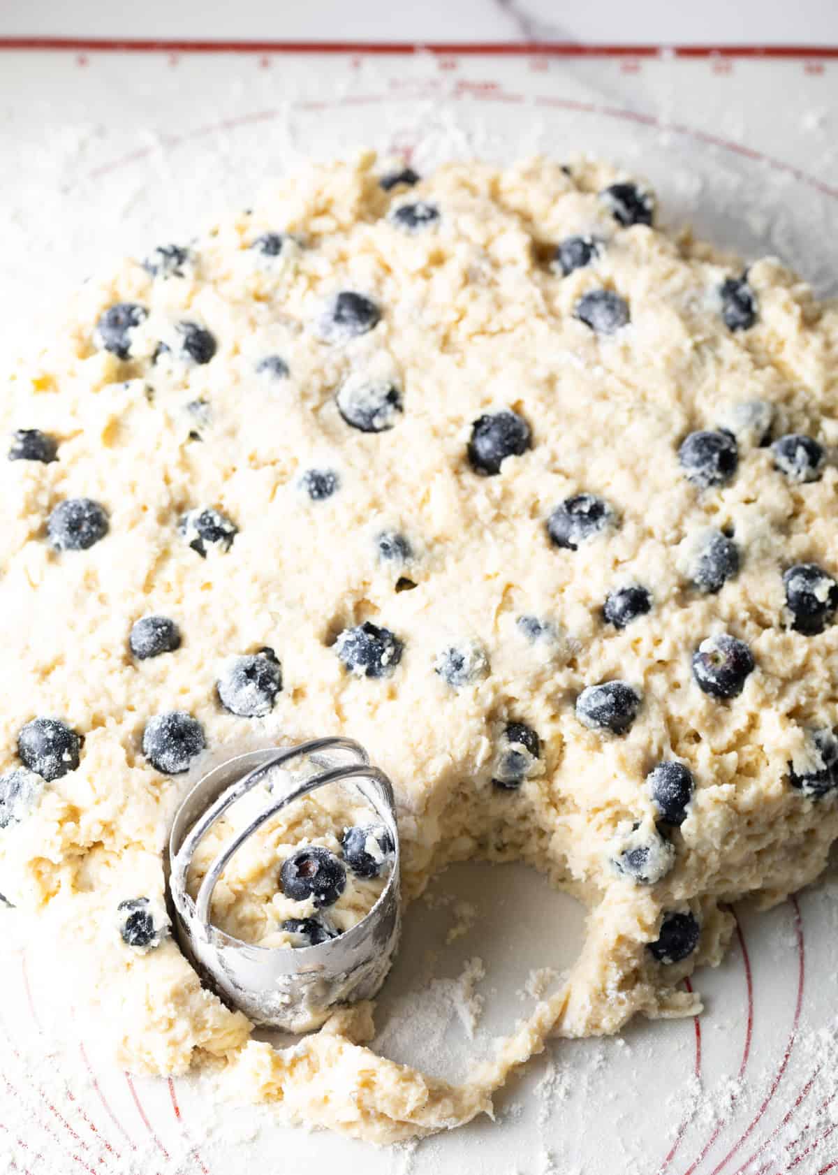 A blueberry biscuit dough has been flattened and is being cut into blueberry biscuits.