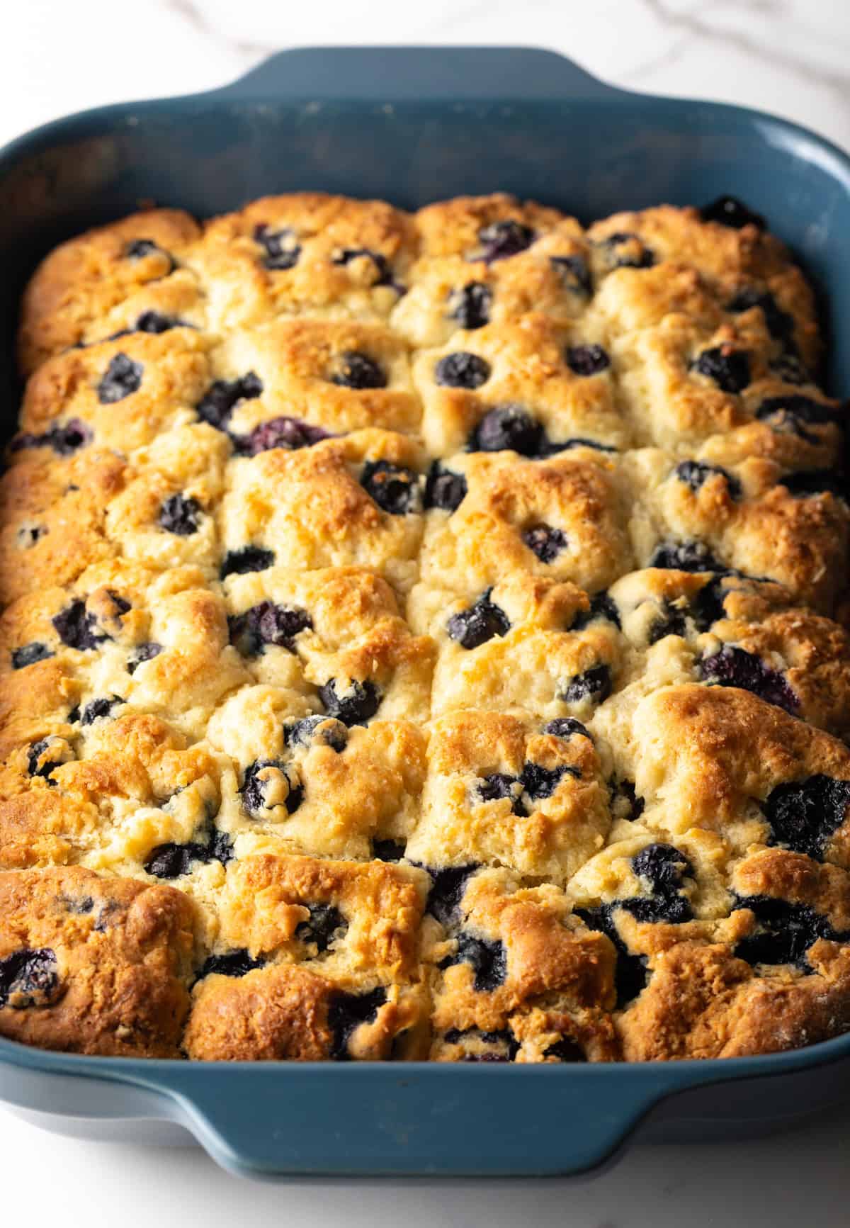 A tray of freshly baked blueberry biscuits.
