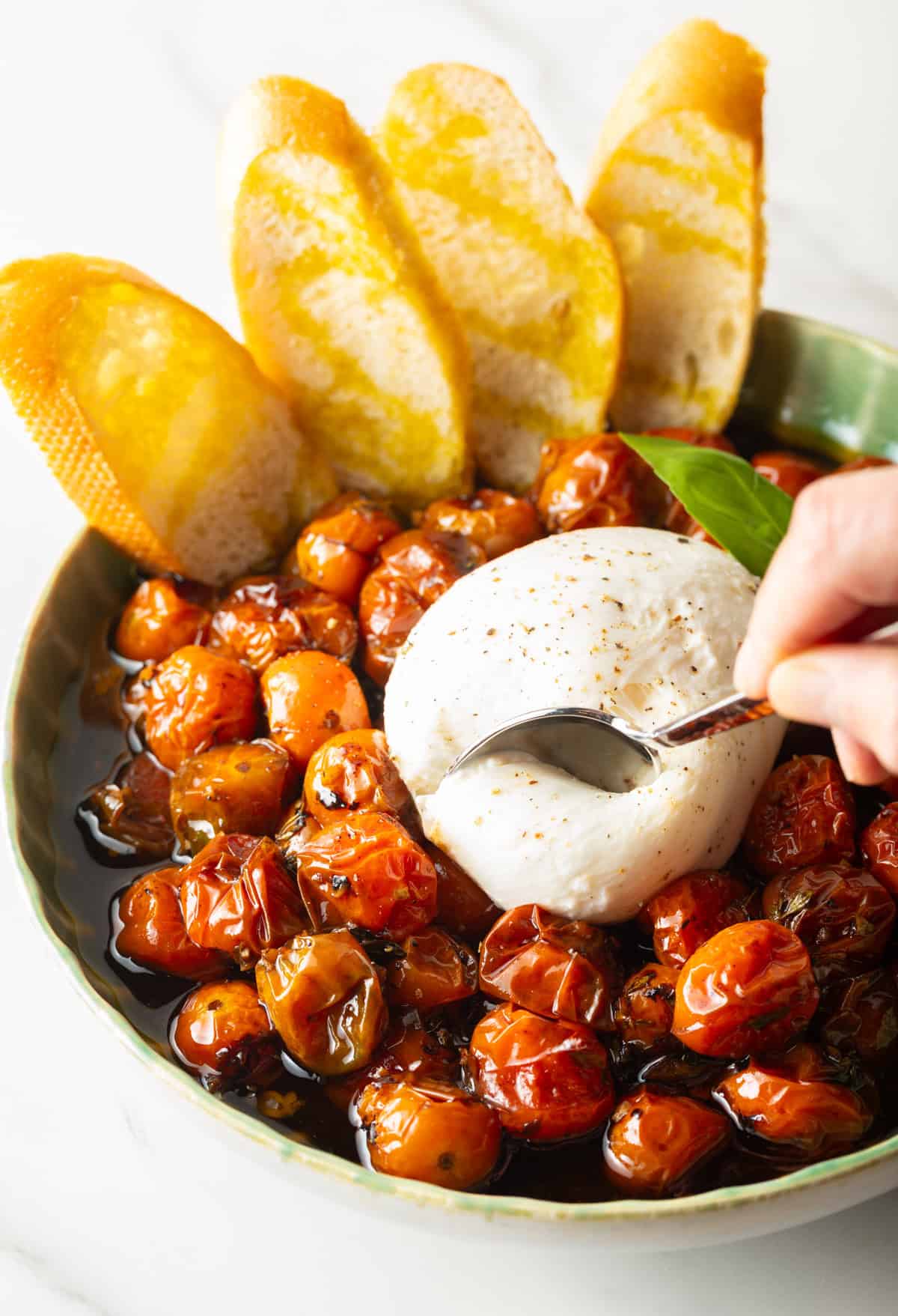roasted tomatoes in bowl with soft cheese